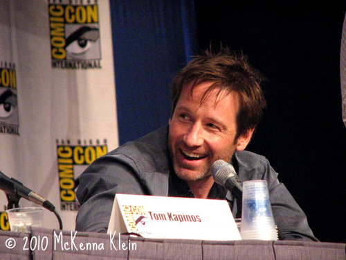  22/07/2010 - DD at Comic-Con Panel