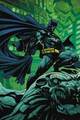Batman - dc-comics photo