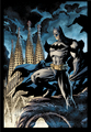 Batman - dc-comics photo
