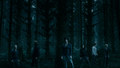 twilight-series - Capturas Clip "Cullen persiguiendo a Victoria" wallpaper