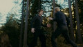 twilight-series - Capturas Clip "Fight Training" wallpaper