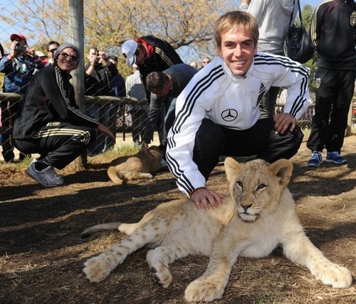  German team visiting in lion park in South Africa