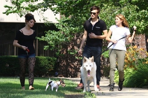 Miley Cirus and Ashley Greene walking their dogs