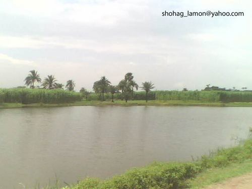  NATURE OF BAGERHAT