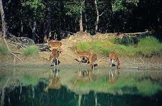  Nature of barishal, Bangladés