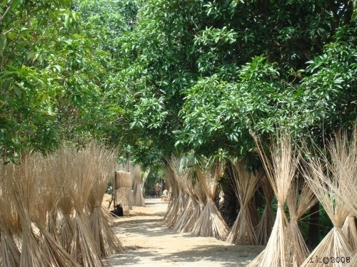  Nature of barishal, 孟加拉共和国