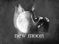 New Moon Fanarts Scanes - twilight-series photo