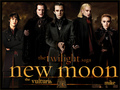 New Moon Fanarts Scene - twilight-series photo