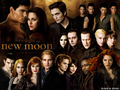 New Moon Fanarts Scenes - twilight-series wallpaper