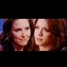 One Tree HIll. - one-tree-hill icon