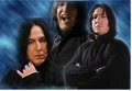 Severus collage - severus-snape fan art