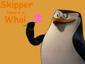 Skipper Hears A who!  - penguins-of-madagascar fan art