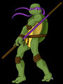 TMNT - teenage-mutant-ninja-turtles fan art