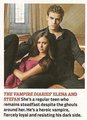 TV Guide-Comic Con Special /Scans/ - stefan-and-elena photo