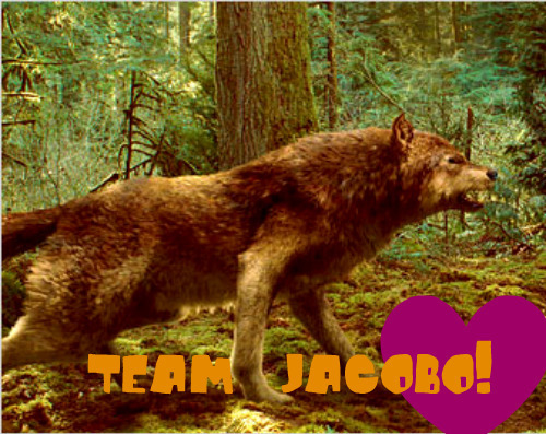  Team Jacob!