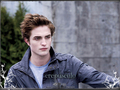 Twilight ! - the-cullens photo