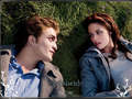 Twilight ! - the-cullens photo