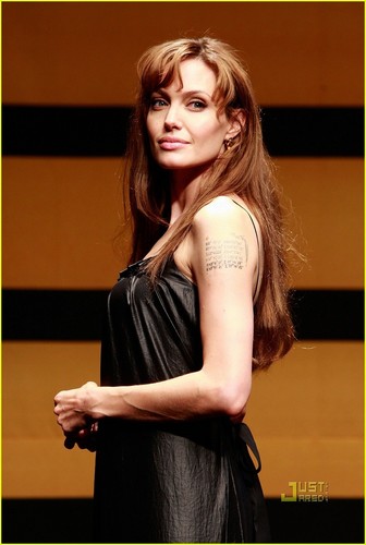  Angelina Jolie Brings 'Salt' to Seoul Press Conference