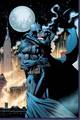 Batman and Catwoman - dc-comics photo