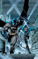 Batman and Nightwing - dc-comics photo