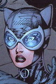 Catwoman - dc-comics photo