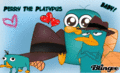 Perry the platypus blingee i made - random fan art