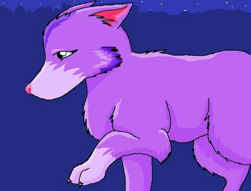  Purple serigala, wolf