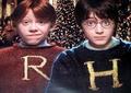 Ron and Harry - harry-potter photo