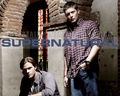 supernatural - Sam & Dean Winchester wallpaper