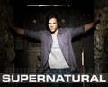 supernatural - Sam Winchester wallpaper