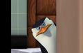 penguins-of-madagascar - Skippa's watching screencap