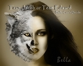 twilight-series - Bella wolf/vampire wallpaper
