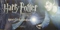 Harry Potter and the Deathly Hallows part 1 promo  - harry-potter photo