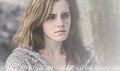 New Harry Potter and the Deathly Hallows I  Scan - hermione-granger photo