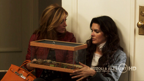Rizzles