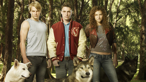 The Wolfs