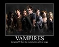 Vampires?!?! - harry-potter-vs-twilight photo