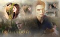twilight-series - ~Edward Bella Jake NM~ wallpaper