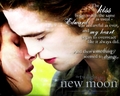 ~Edward & Bella NM~ - twilight-series wallpaper