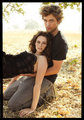 ''Rob and Kristen'' - twilight-series photo