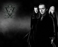 twilight-series - ~Volturi Leaders~ wallpaper