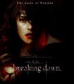 Breaking Dawn Poster  - twilight-series fan art