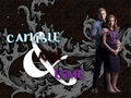 twilight-series - Carlisle and Esme Cullen wallpaper
