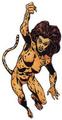 Cheetah - dc-comics photo