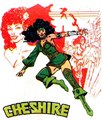 Cheshire - dc-comics photo