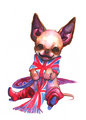 Chihuahua - all-small-dogs fan art