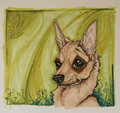 Chihuahua - all-small-dogs fan art