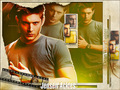 supernatural - Dean wallpaper
