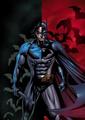 Nightwing/Batman - dc-comics photo
