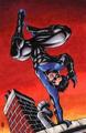 Nightwing - dc-comics photo